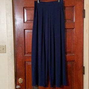 Express Wide Leg Pants